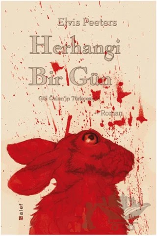Herhangi Bir Gün – Elvis Peeters – Alef Yayınevi kitap kapağı