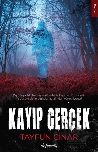 Kayıp Gerçek – Tayfun Çınar – Dolce Vita Kitap kitap kapağı
