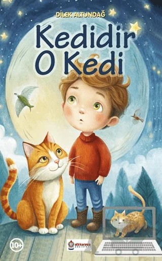 Kedidir O Kedi – Dilek Altundağ – Atlı Karınca Yayınları kitap kapağı