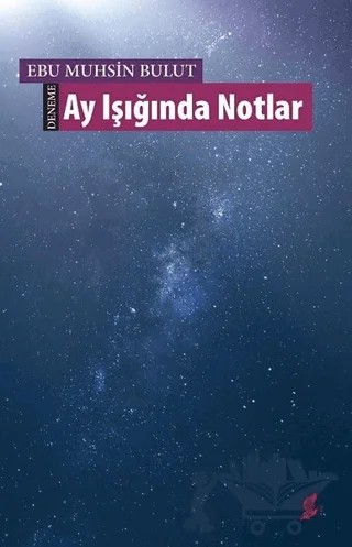Ay Işığında Notlar – Ebu Muhsin Bulut – Okur Kitaplığı kitap kapağı