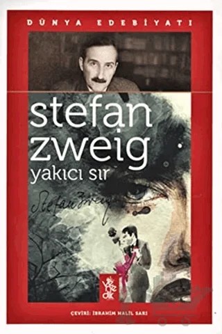 Yakıcı Sır – Stefan Zweıg – Venedik Yayınları kitap kapağı