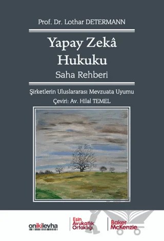 Yapay Zeka Hukuku Saha Rehberi – Lothar Determann – On İki Levha Yayınları kitap kapağı