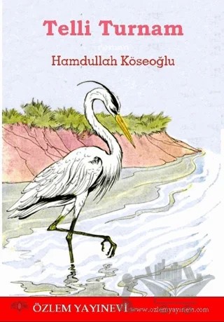 Telli Turnam – Hamdullah Köseoğlu – Özlem Yayınevi kitap kapağı