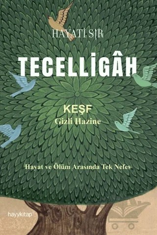 Tecelligah – Hayati Sır – Hayykitap kitap kapağı