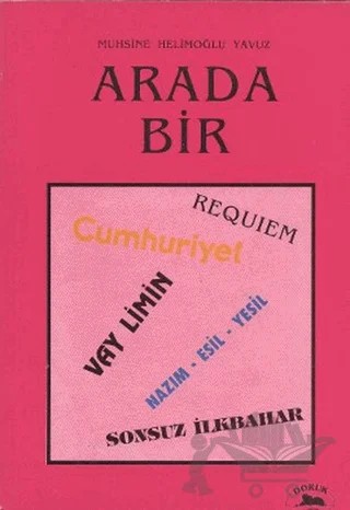 Arada Bir – Muhsine Helimoğlu Yavuz – Doruk Yayınları kitap kapağı