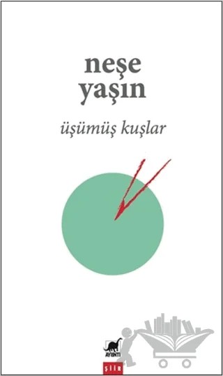 Üşümüş Kuşlar – Neşe Yaşın – Ayrıntı Yayınları kitap kapağı