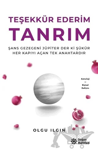 Teşekkür Ederim Tanrım – Olgu Ilgın – Doğan Novus kitap kapağı