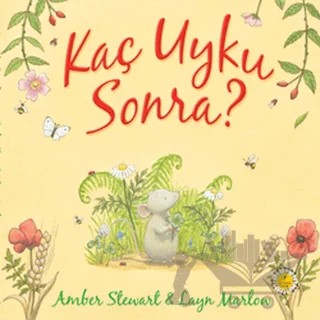 Kaç Uyku Sonra – Amber Stewart – Artemis Yayınları kitap kapağı