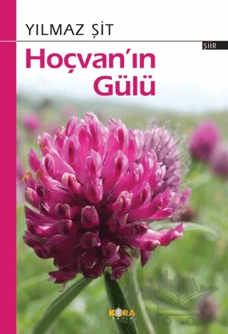 Hoçvan’ın Gülü – Yılmaz Şit – Kora Yayın kitap kapağı