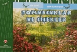 Canlıların Burunları - Bir Bak Bir Daha Bak – David M. Schwartz, Marilyn Marks – TÜBİTAK Yayınları kitap kapağı
