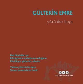 Yürü Dur Boya – Gültekin Emre – Yapı Kredi Yayınları kitap kapağı