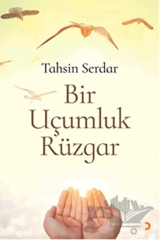 Bir Uçumluk Rüzgar – Tahsin Serdar – Cinius Yayınları kitap kapağı