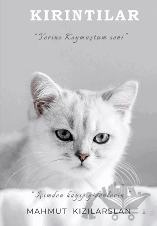 Kırıntılar – Mahmut Kızılarslan – Odessa Yayınevi kitap kapağı