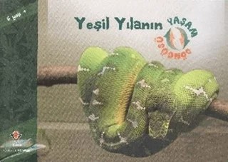 Yeşil Yılanın Yaşam Döngüsü – David M. Schwartz – TÜBİTAK Yayınları kitap kapağı
