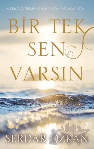 Bir Tek Sen Varsın – Serdar Özkan – Artemis Yayınları kitap kapağı