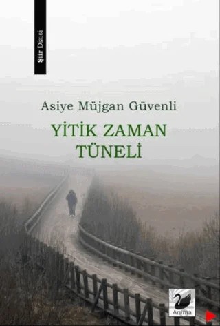 Yitik Zaman Tüneli – Asiye Müjgan Güvenli – Anima Yayınları kitap kapağı