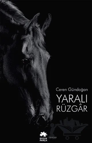 Yaralı Rüzgar – Ceren Gündoğan – Eksik Parça Yayınları kitap kapağı