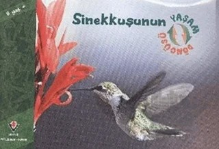 Sinekkuşunun Yaşam Döngüsü – David M. Schwartz – TÜBİTAK Yayınları kitap kapağı