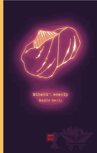 Kitabü'l Acayip – Kadir Daniş – Yedinci Kat Yayınları kitap kapağı