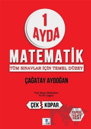 1 Ayda Matematik – Çağatay Aydoğan – 3 Adam Yayınları kitap kapağı