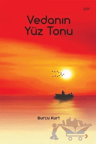 Vedanın Yüz Tonu – Burcu Kurt – Cinius Yayınları kitap kapağı