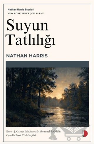 Suyun Tatlılığı – Nathan Harris – VİSKİTAP kitap kapağı