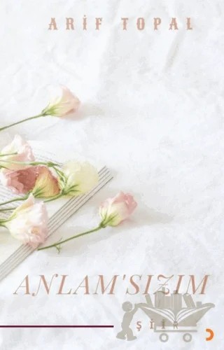 Anlamsızım – Arif Topal – Cinius Yayınları kitap kapağı