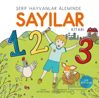 Sayılar – Şeyma Kara – Uçan Kitap kitap kapağı