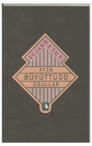 Ayın Büyüttüğü Oğullar – Bejan Matur – Metis Yayınları kitap kapağı