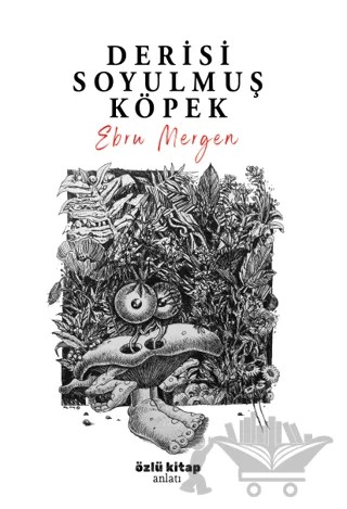 Derisi Soyulmuş Köpek – Ebru Mergen – Özlü Kitap kitap kapağı