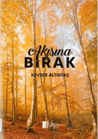 Akışına Bırak – Kevser Altıntaş – Neyno Kültür Yayınevi kitap kapağı
