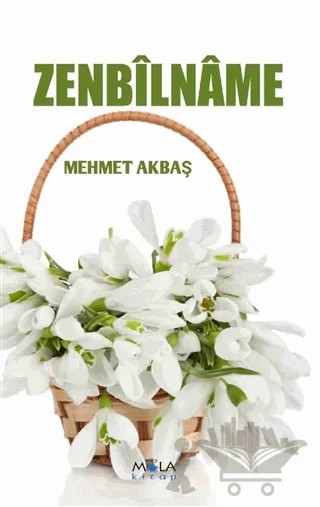Zenbilname – Mehmet Akbaş – Mola Kitap kitap kapağı