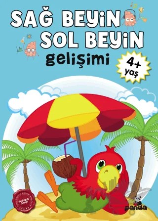 Sağ Beyin - Sol Beyin Gelişimi +4 Yaş – Kolektif – Beyaz Panda Yayınları kitap kapağı