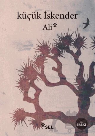 Ali – Küçük İskender – Sel Yayıncılık kitap kapağı