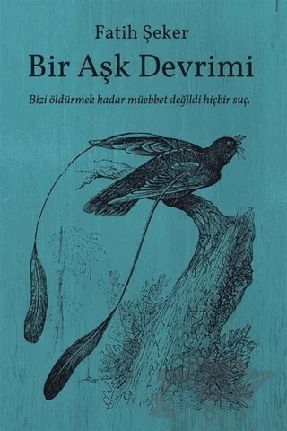 Bir Aşk Devrimi – Fatih Şeker – Cinius Yayınları kitap kapağı