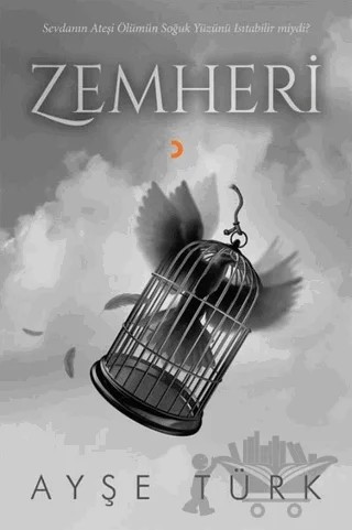 Zemheri – Ayşe Türk – Cinius Yayınları kitap kapağı