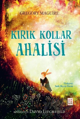 Kırık Kollar Ahalisi – Gregory Maguire – Ketebe Genç kitap kapağı