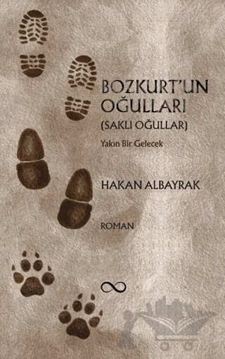 Bozkurt'un Oğulları – Hakan Albayrak – Bengisu Yayınları kitap kapağı