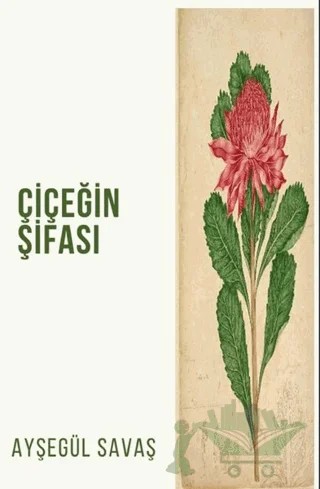 Çiçeğin Şifası – Ayşegül Savaş – Platanus Publishing kitap kapağı