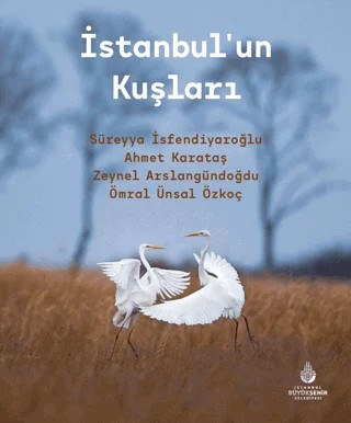 İstanbul’un Kuşları – Kolektif – İBB Yayınları kitap kapağı