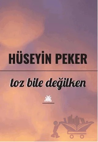 Toz Bile Değilken – Hüseyin Peker – Artshop Yayıncılık kitap kapağı
