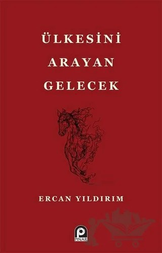 Ülkesini Arayan Gelecek – Ercan Yıldırım – Pınar Yayınları kitap kapağı