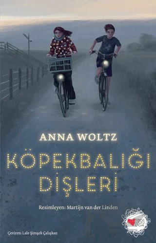 Köpekbalığı Dişleri – Anna Woltz – Can Yayınları kitap kapağı