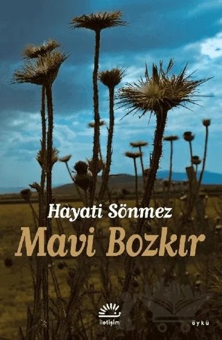 Mavi Bozkır – Hayati Sönmez – İletişim Yayınevi kitap kapağı