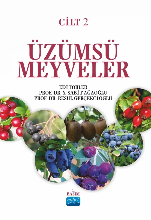 ÜZÜMSÜ MEYVELER - Cilt 2 – Ali İslam, Aslı Yılmaz, Besim Karabulut, Hüseyin Çelik, Mehmet Güneş, Mehmet Polat, Muharrem Özcan, Öznur Öz Atasever, Resul Gerçekcioğlu, Rüstem Cangi, Y.Sabit Ağaoğlu – Nobel Akademik Yayıncılık kitap kapağı