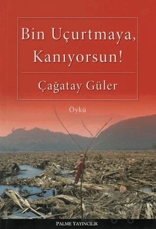 Bin Uçurtmaya, Kanıyorsun! – Çağatay Güler – Palme Yayıncılık kitap kapağı
