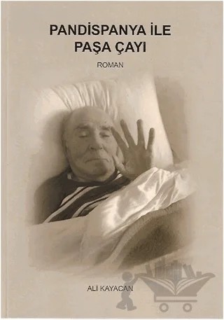 Pandispanya İle Paşa Çayı – Ali Kayacan – Deka Yayınları kitap kapağı
