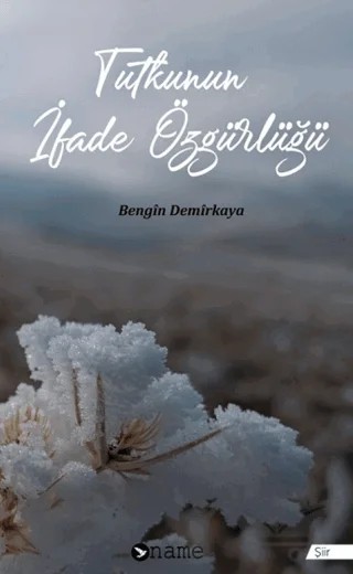 Tutkunun İfade Özgürlüğü – Bengin Demirkaya – Name Yayınları kitap kapağı