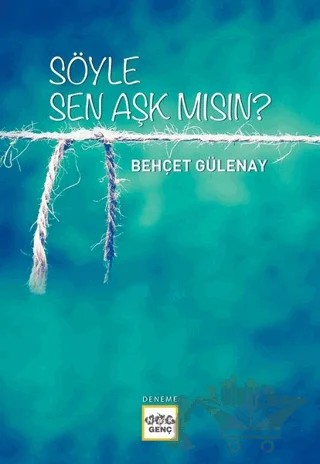 Söyle Sen Aşk mısın? – Behçet Gülenay – Nar Yayınları kitap kapağı