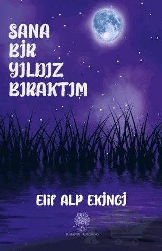 Sana Bir Yıldız Bıraktım – Elif Alp Ekinci – Platanus Publishing kitap kapağı